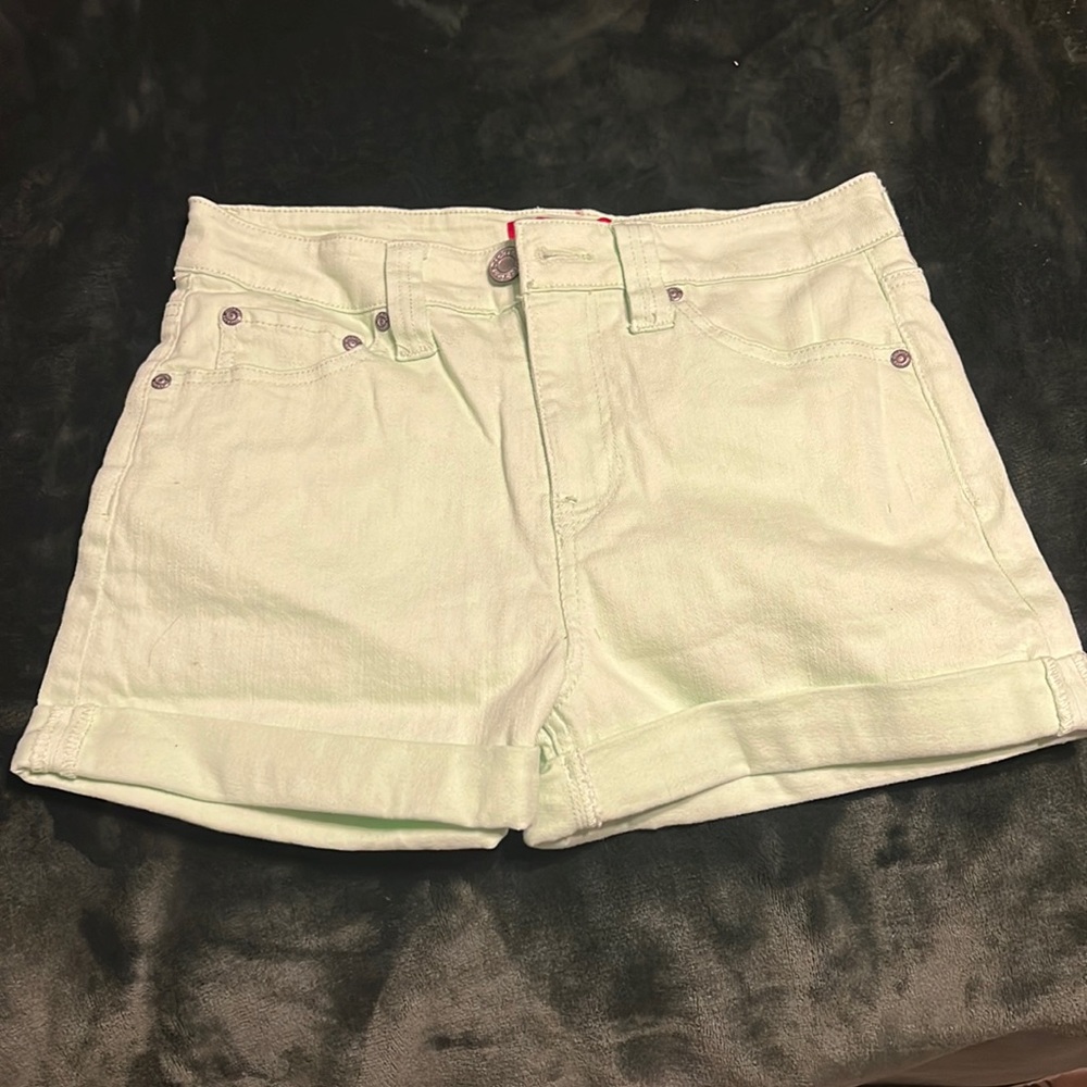 Dickies mint green jean shorts